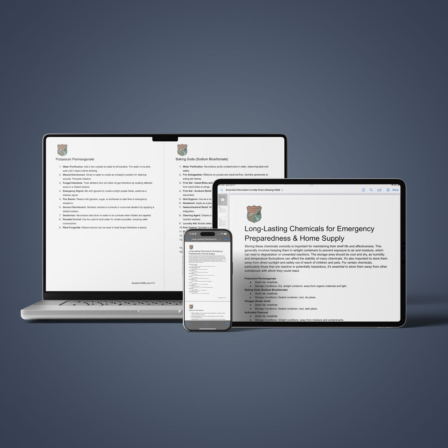 Long-Lasting Chemicals for Emergency Preparedness - Digital PDF Download