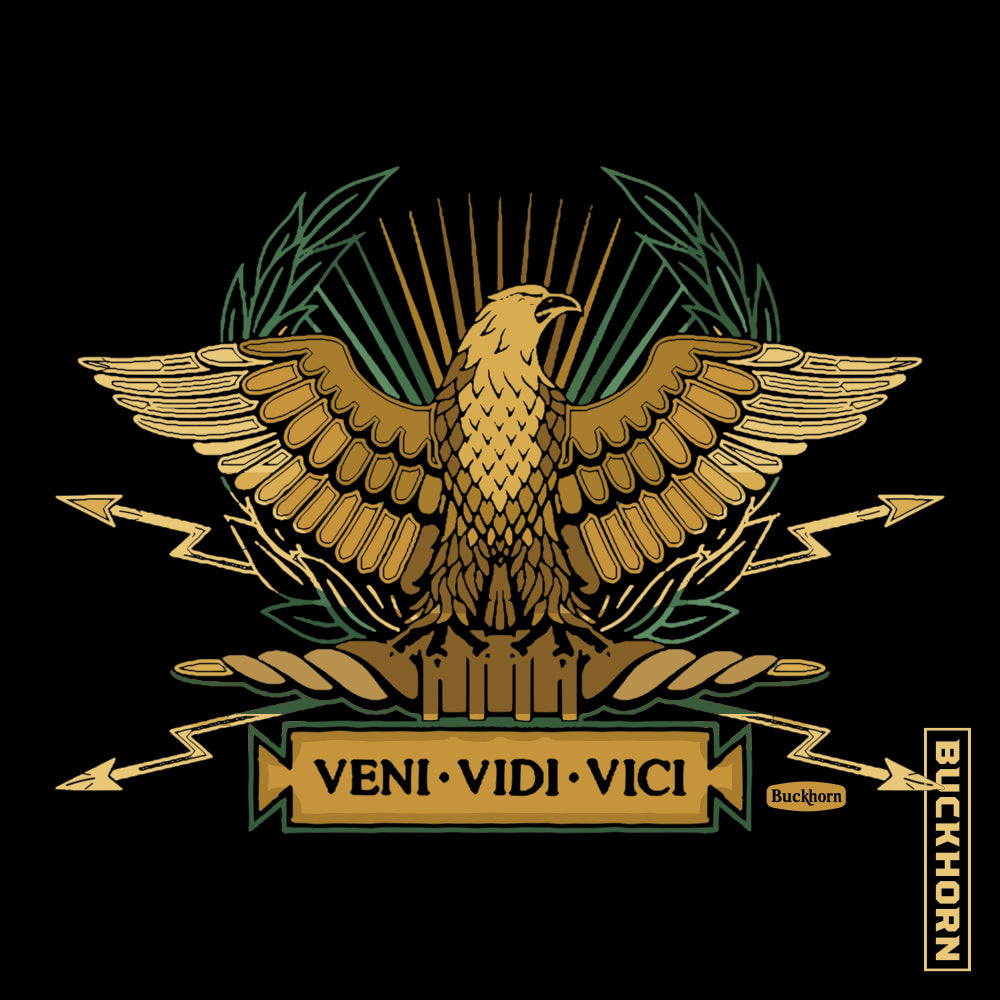 VENI - VIDI - VICI T-Shirt