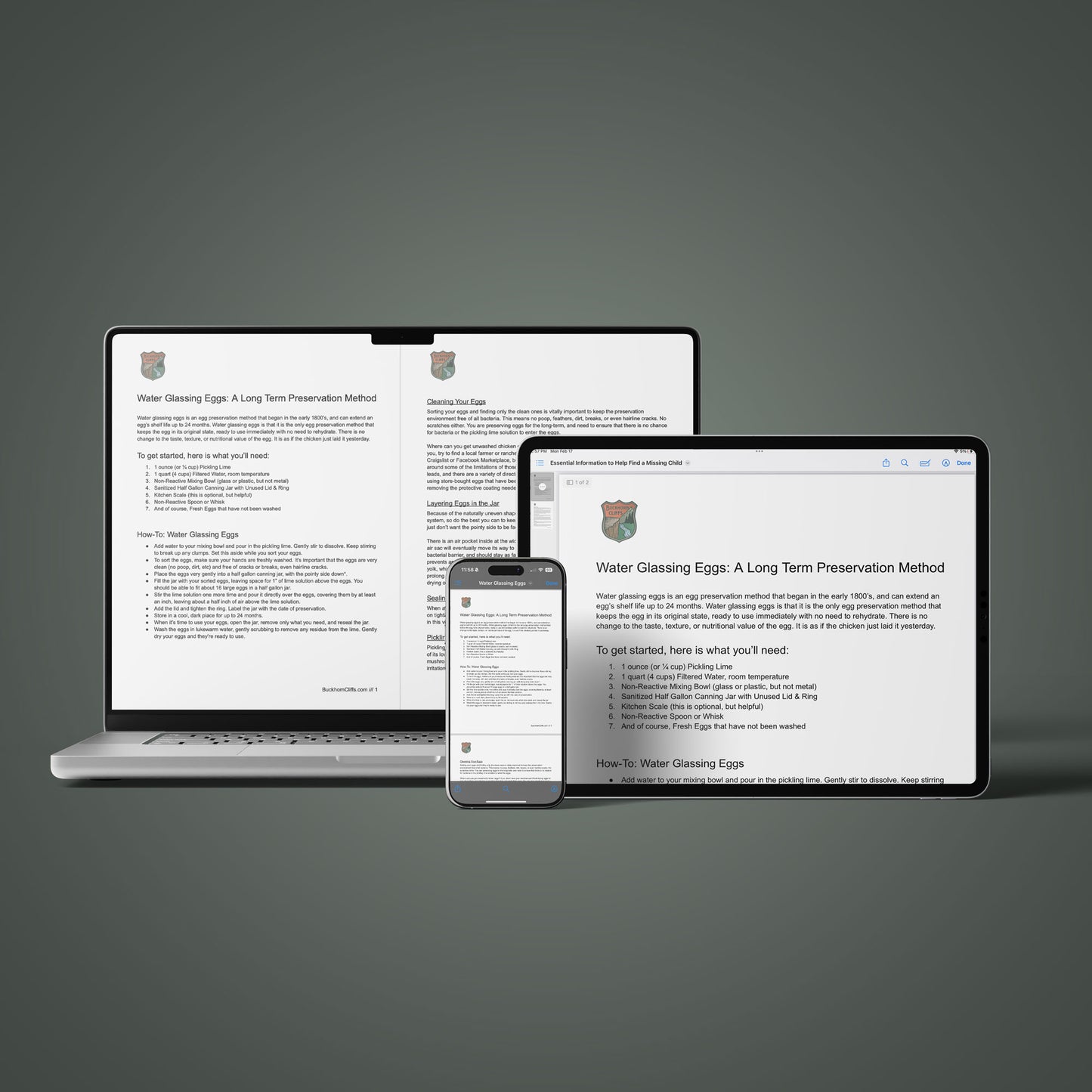 Water Glassing Eggs: A Long Term Preservation Method - Digital PDF Download