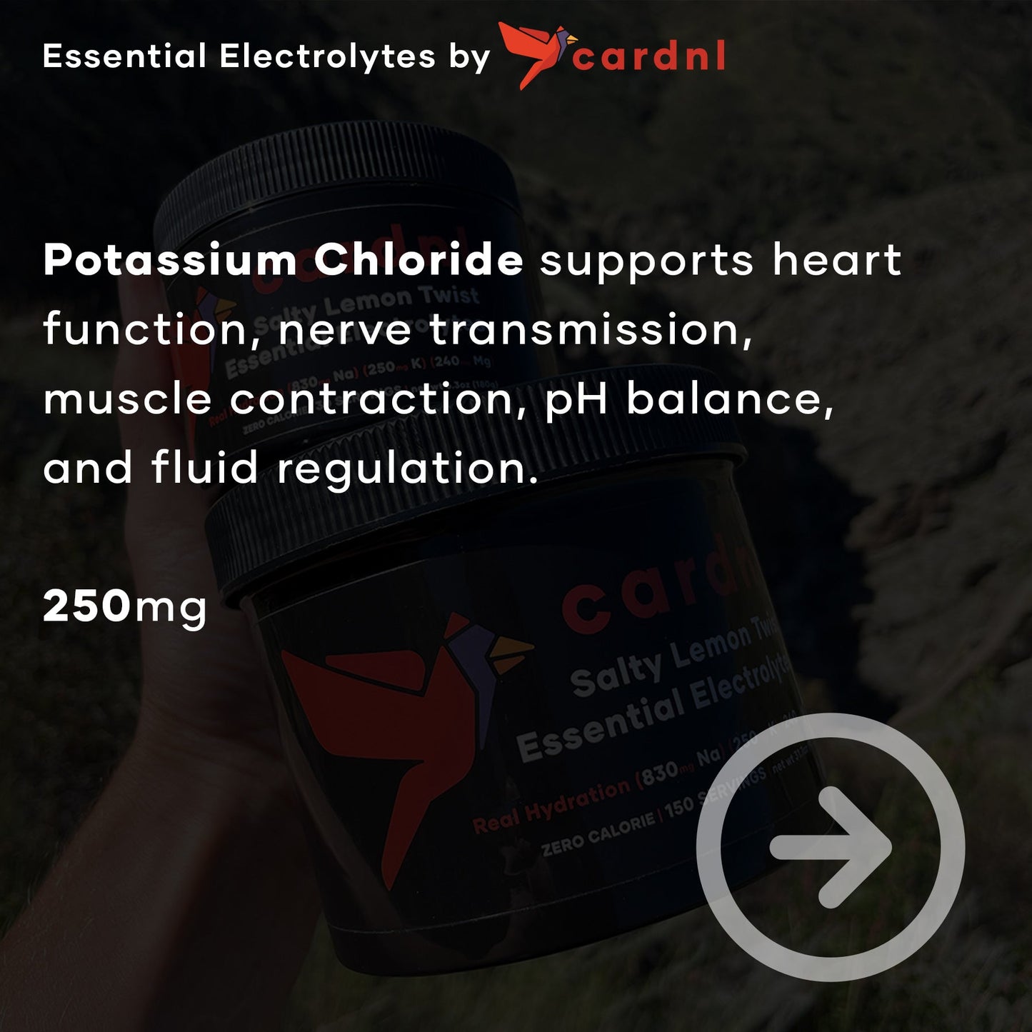 Zero Sugar Essential Electrolytes