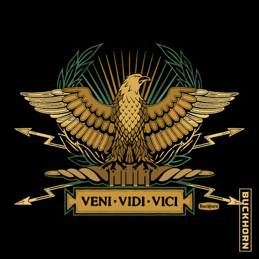 VENI  VIDI  VICI T-Shirt