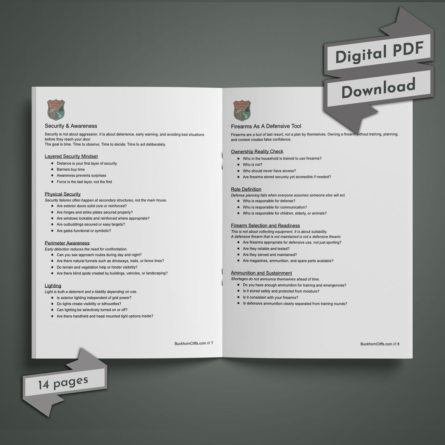 Walk-Around Preparedness Audit - Digital PDF Download